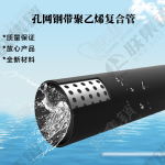 PE孔网钢带复合管
