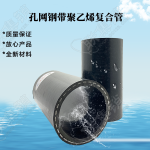 PE孔网钢带复合管