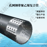 PE孔网钢带复合管