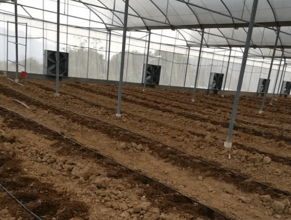 农业灌溉管道PE管