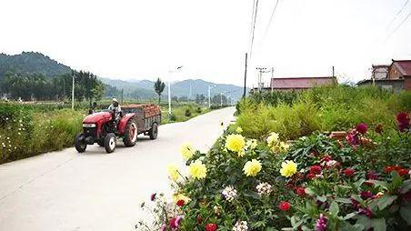 管道局：坚决当好保障国家能源安全的“压舱石”和“顶梁柱”！