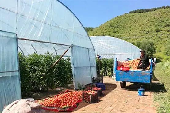 管道局：坚决当好保障国家能源安全的“压舱石”和“顶梁柱”！