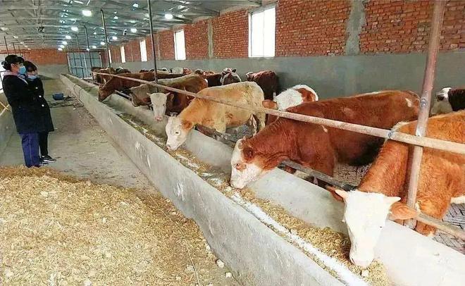 管道局：坚决当好保障国家能源安全的“压舱石”和“顶梁柱”！