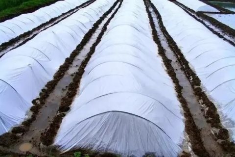 PE管与HDPE管区别在哪？一文给你讲清楚