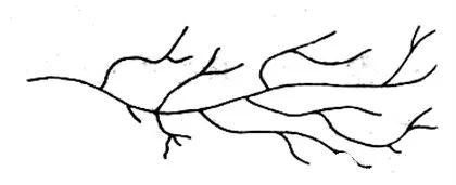 你知道HDPE、LDPE、LLDPE、UHMWPE它们的区别是什么吗？